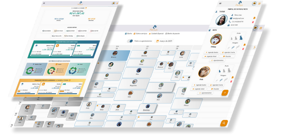 Interface Moderna do PetSys